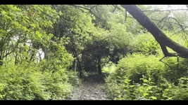 New Travel Blog! This Time We Went to a Castle and I Blowed His Flourish