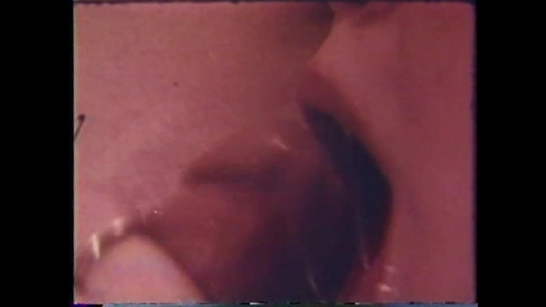 Vintage megastore: Suck Cock Pig