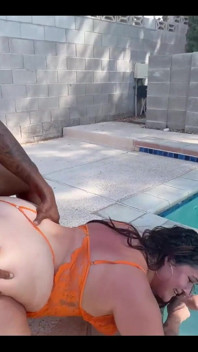 Doggy by the Pool