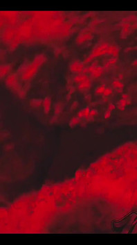 Stacxxxs Apresenta: Red Light District Series - Nikki Cakes