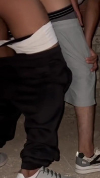 Homo moslimprins
