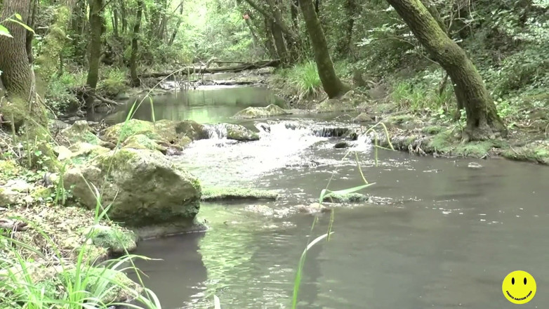 French Amateur Porn: 32 year-old French slut ass fucked by the river