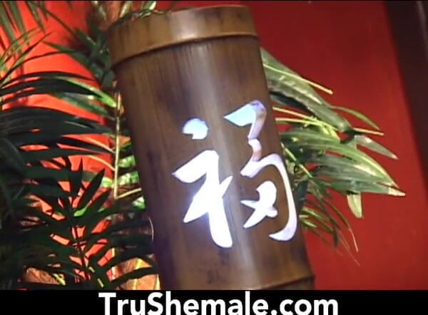 Tru Shemale: 스타킹을 신고 자지를 장착하고 얼굴에 사정하는 Tgirl Fernanda Barros (원시 영상 - 고품질)