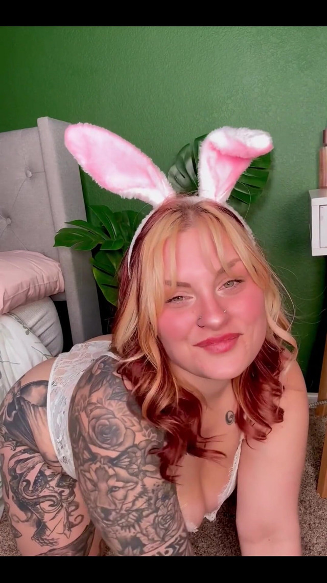 More Bunny Views (Chandler Knight) More Bunny Views (Chandler Knight)