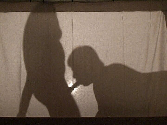 Anna Devot: Annadevot - Šukej jako stínová hra