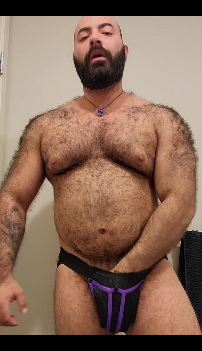 Lobo: Bear Is Here