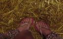 Barefoot Stables: Picioare grajd pișate