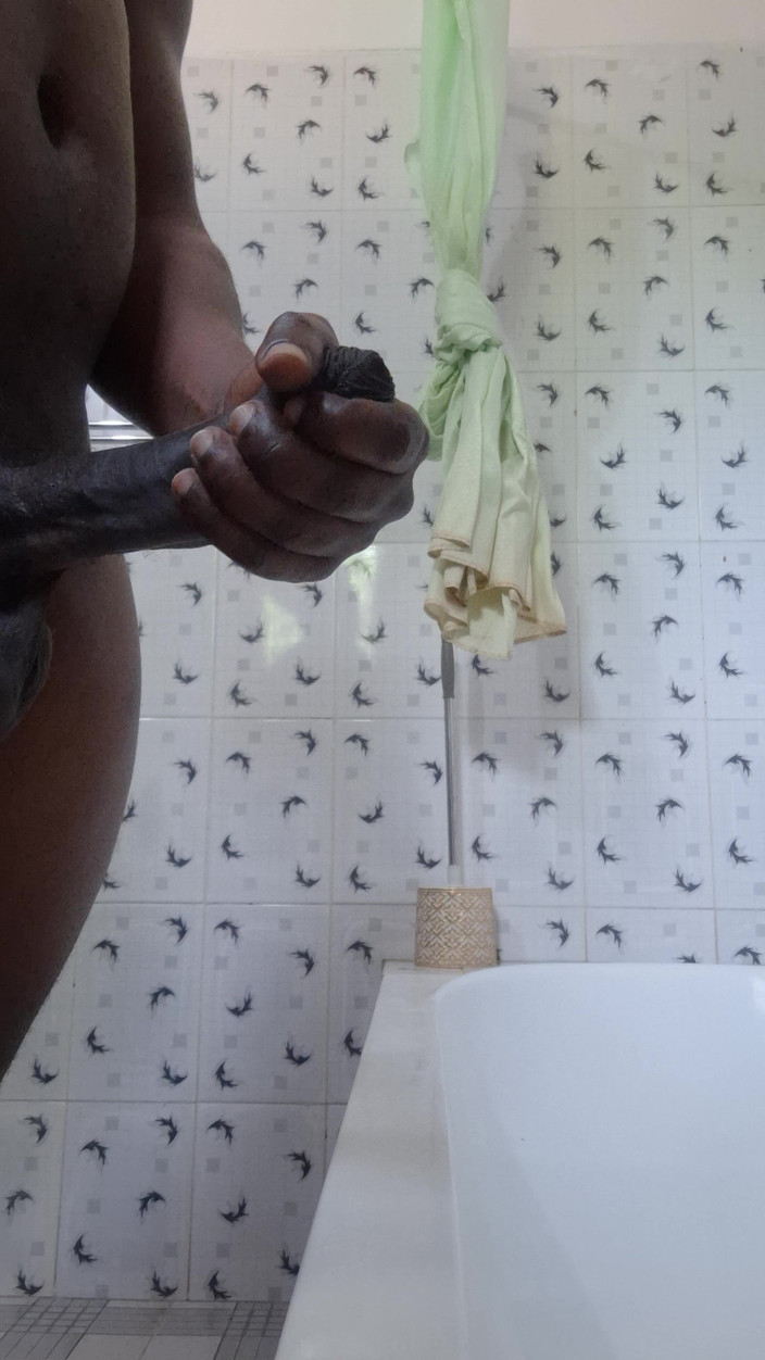 Bumba: 城里最受欢迎的大象征