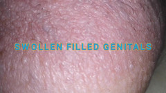 Monster_Meat_: Oteklé obscénní maso plněné silikonem