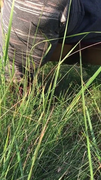 Peeing in the Grass in a Meadow