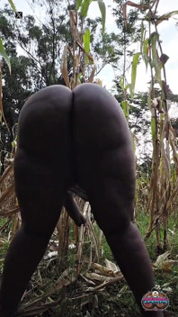 Menggoncangnya di luar di Ladang Sawah Kampung