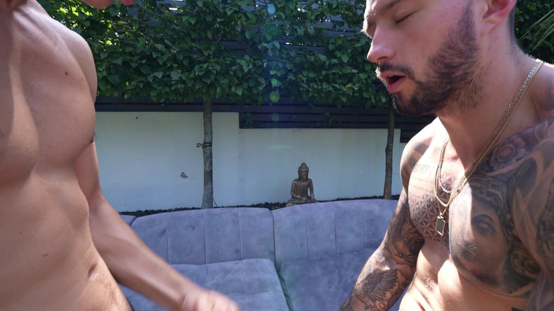 Rauls Bud: Uccelli Yasminakhan Swingers