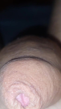 Day Dick