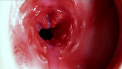 SEXY_GUYBEST: Stor orgasm inuti anusen! Fantastisk stönande orgasm och mycket spermier!