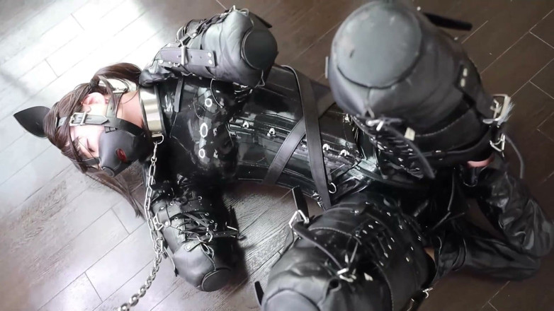 Aisan girl bondage: A Puppy Bound with Latex, Walking the Dog