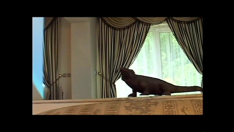 FM Video VOD: Sofia Cucci di My Friend Mandingo (Full Movie HD Version)