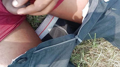 Generalcalculator9: Desi indický můra