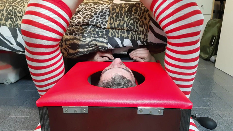 goddess82: I Want to Feel Your Nose in My Pussy While...