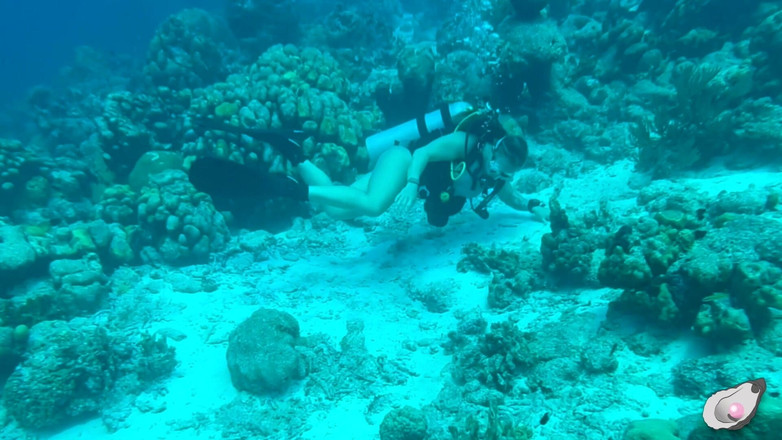 Mistress Pink Pearl: Ensam tid i Bonaire