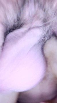 Hairy balls and hairy clit with lot of sperm dripping