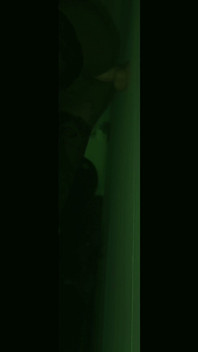 Vision nocturne : sodomie profonde avec un gode bwc