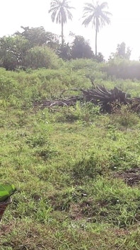 Bts Adigun dengan isteri petani