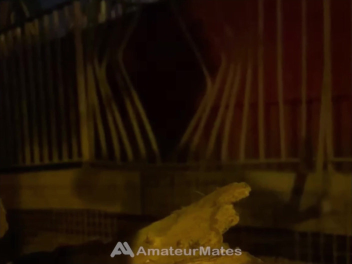 AmateurMates: ชายแท้กล้าโชว์ตูดใหญ่เนียนๆ ของเขาในสวนสาธารณะ