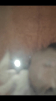 749771317682647040.mp4