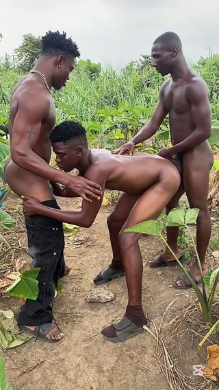 Full View Part 2