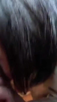 Asian Angel 25016