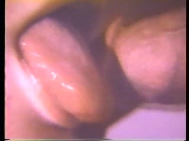Vintage Usa: L'histoire du porno - vol. 43 - (contes X vintage)