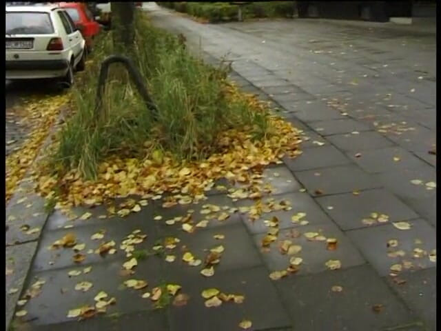 Lucky Cooch: Wywiad na świeżym powietrzu z seksowną laską