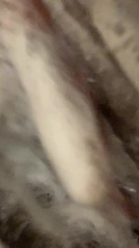 Soapy Shower Massage for a Purrrfectly Clean Pussy