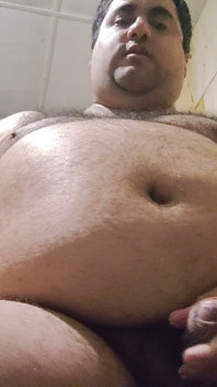 Porco gordo não consegue parar de engordar e mastigar