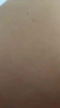 Pussy & Asshole Flashing