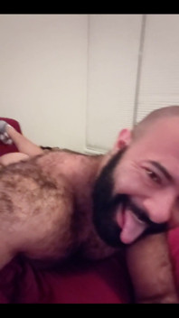 Pet Play