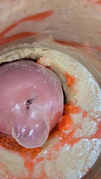Kamera 4K di dalam pepek mendalam merakam pancutan besar dengan kondom tersangkut