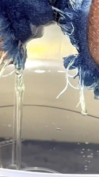 Perversions air kencing