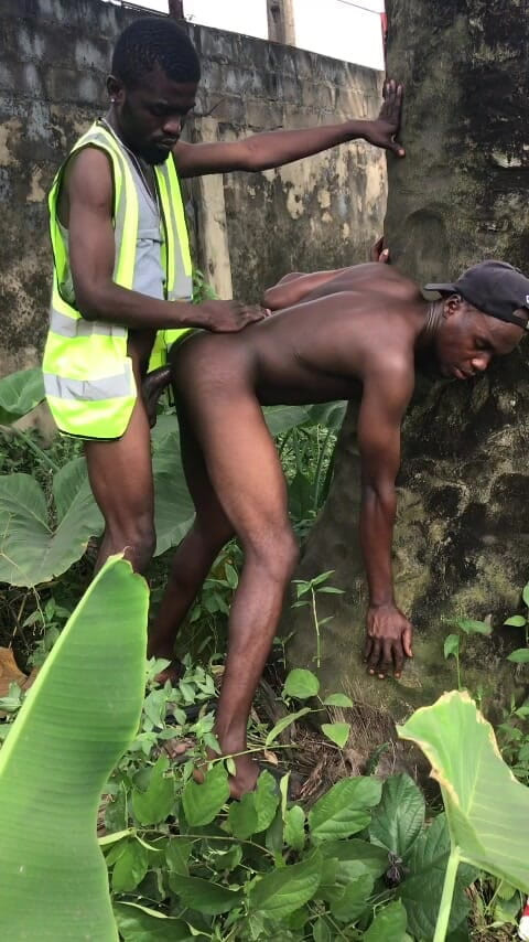 Sexydaddy: di luar ruangan di balik pohon kurma di peternakan