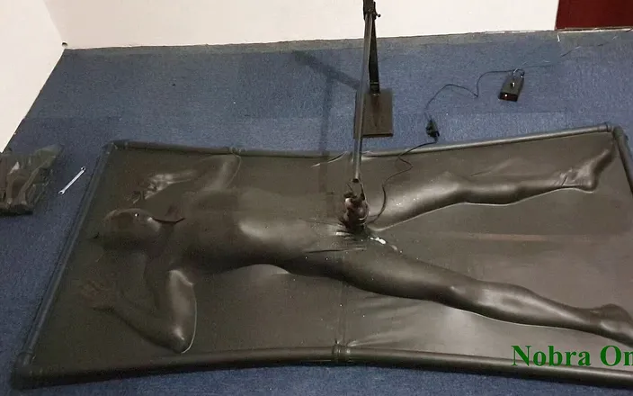 NL Milking: Vacbed and Nobra with timer