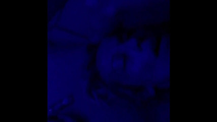 We the North Entertainment: Cassie Quinn masturbating with my cock