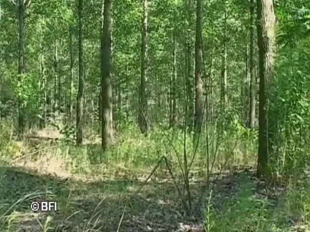 No depth limit for her pussy and ass: Klimaks hamil 1 DVD