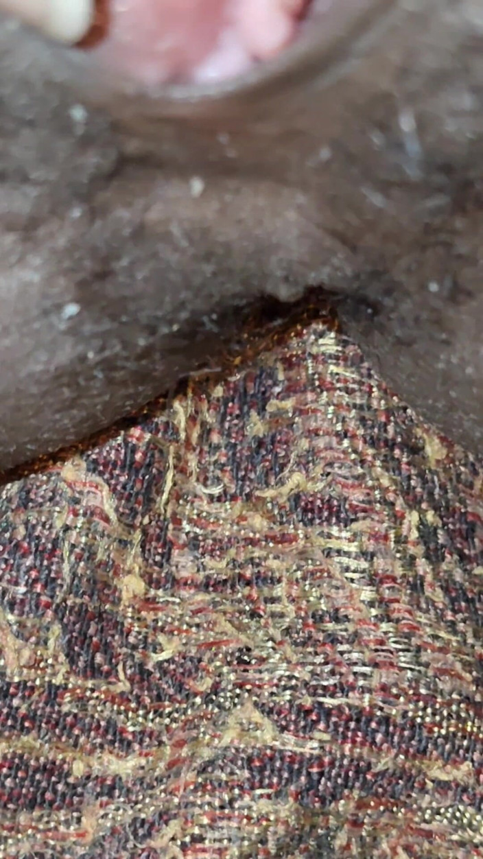 X videos: Hermanastra garganta profunda y follando con hermanastro