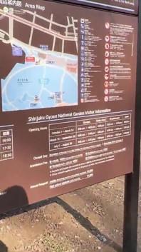 Înger asiatic 20958