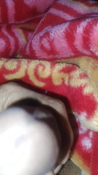 Big Dick Video