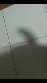 Shadow of Cock