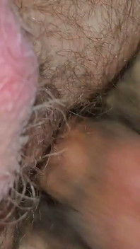 Experience with Bear Stepdaddy