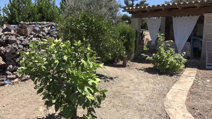 Gilfy Pleasure: MiLF bionda svuota il cazzo duro del ragazzo all'aperto