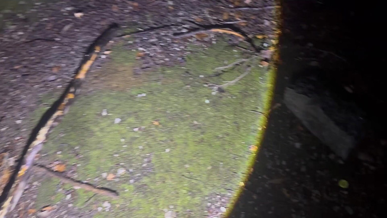 Putarankahotmilf: Scopata, dildo e fisting nella Foresta notturna