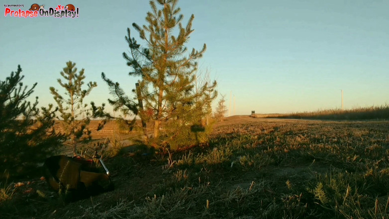 Ass Monkey: Destroyed Asshole